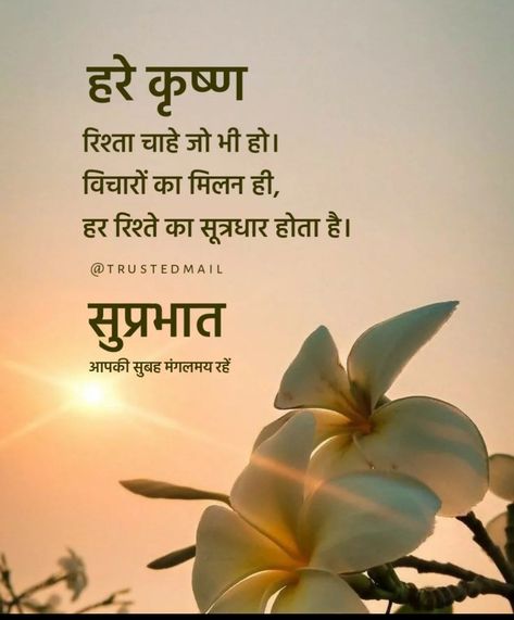 Good Morning Suvichar Hindi, Good Morning In Hindi Thoughts, Suprabhat Mornings In Hindi, Gm Quotes Mornings, Suprabhat Hindi Quotes, Good Morning Quotes Hindi, Good Morning Hindi Messages, Cute Morning Quotes, Good Morning Motivational Messages