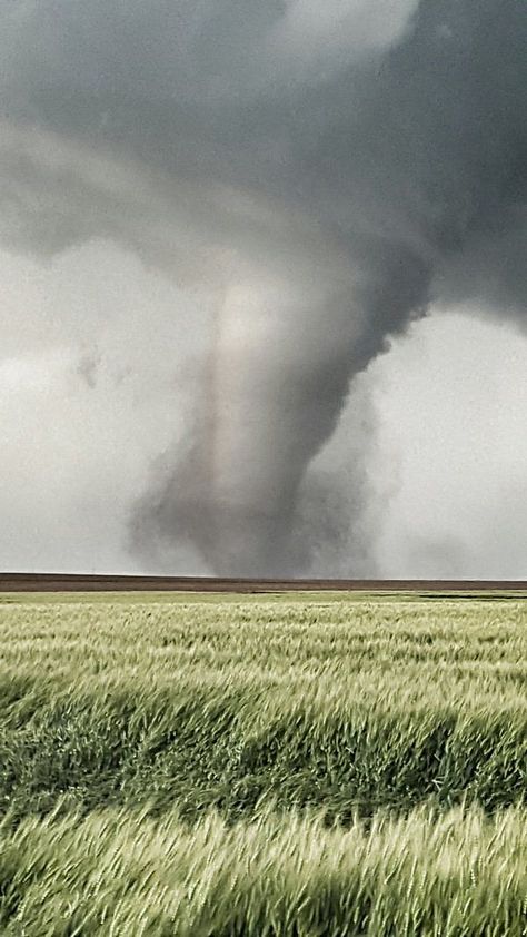 Tornado Photography, Dodge City Kansas, Tornado Pictures, Storm Pictures, Weather Storm, Storm Chasing, Dodge City, Wild Weather, Wheat Field