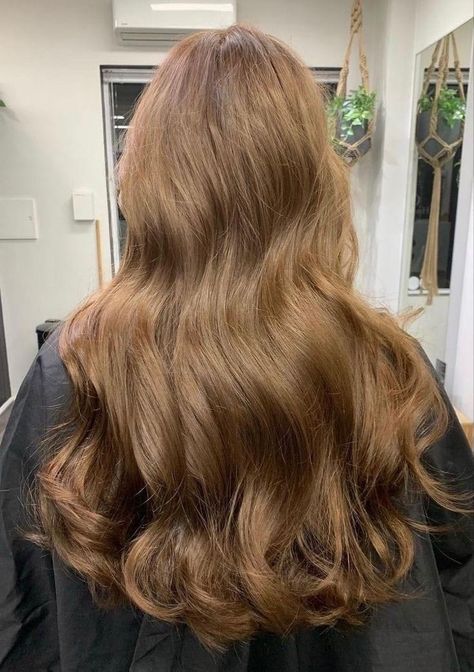 Fall Balayage Brunette, Light Brown Hair Shades, Honey Brown Hair Color, Fall Balayage, Golden Brown Hair Color, Rambut Brunette, Golden Brown Hair, Hair Color Underneath, Honey Brown Hair