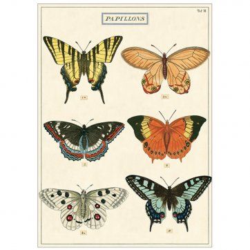 Butterfly Wrapping Paper Butterfly Chart, Art Papillon, Butterfly Poster, Butterfly Illustration, Butterfly Drawing, Insect Art, Illustration Vintage, Scientific Illustration, Art Et Illustration