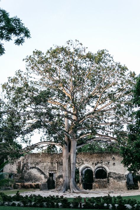 Oaxaca Wedding Venues, Queretaro Wedding Mexico, Yucatan Wedding Haciendas, Mexico City Wedding Venues, Hacienda Uayamon Wedding, Mexico City Wedding, Hacienda Wedding Photography, Mexico Wedding Venue, Hacienda Wedding