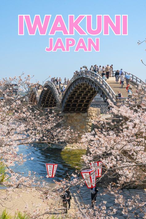 Japan Spring Travel, Japan Tourist Spots Aesthetic, Cherry Blossom In Japan Travel, Japan Attractions, Japan Snacks, Japan Tourist Spots, Life Abroad, Cherry Blossom Festival, Japan Travel Guide