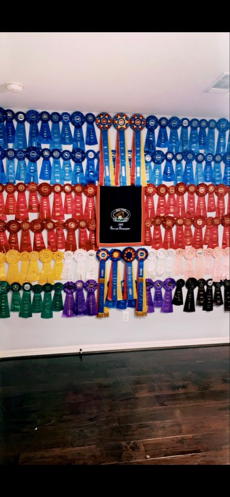 Hunter Jumper Equestrian Ribbon Wall Equestrian Room Decor, Horse Ribbon Display Ideas, How To Hang Horse Show Ribbons, Horse Ribbon Display Ideas Wall Hangings, Equestrian Ribbon Wall, Horseshow Ribbon Display Ideas, Horse Ribbons Display Ideas, Horse Rosette Display, Display Horse Show Ribbons