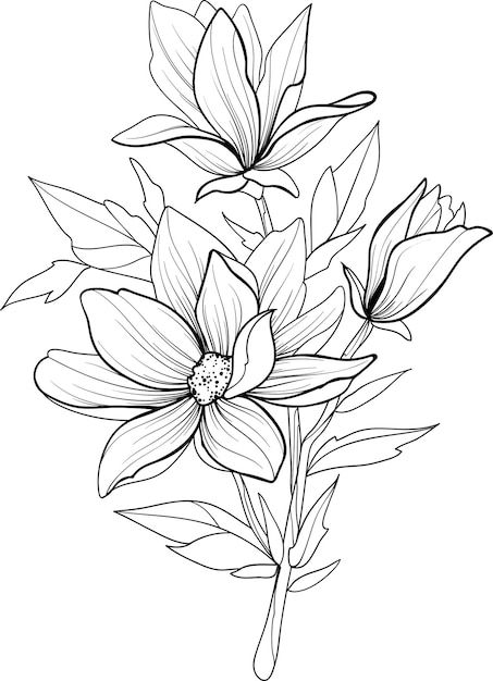 Black outline of magnolia flower Premium... | Premium Vector #Freepik #vector #outline #coloring #drawing #flower-outline Magnolia Tattoo Outline, Magnolia Outline, Flower Outline Drawing, Painting Outlines, Executive Planner, Printable Drawings, Flowers Outline, Outline Flowers, Outline Flower