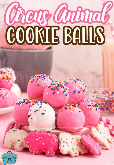 Easy Dessert Balls, Animal Cookie Dessert, Animal Cookie Truffles, Cookie Balls Recipe, Circus Cookies, Cake Ball Recipes, Circus Animal Cookie, Cookie Balls, Cake Ball