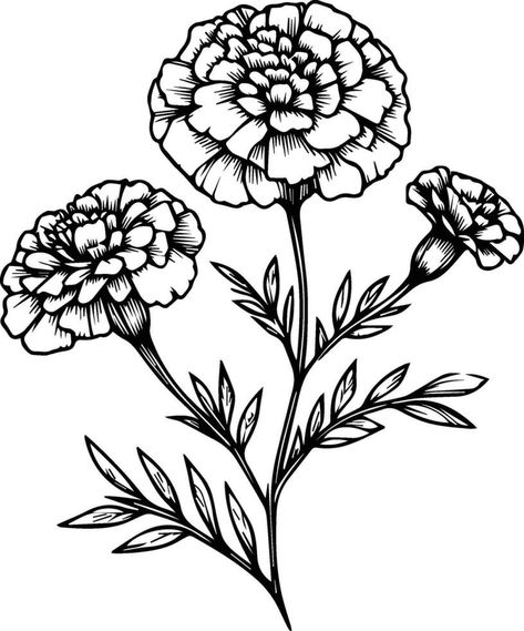 Drawing Marigold Flowers, Marigold Flower Drawing, Marigold Drawing, Marigold Art, Spring Elements, Line Art Coloring, Primrose Flower, Yellow Marigold, Easy Flower Drawings