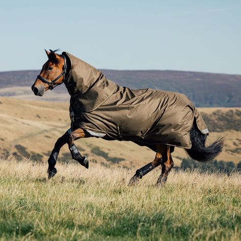 Battle the elements with LeMieux's Arika Ripstop rug range 💪🌧️ Available in 50g, 100g & 200g, the Arika Ripstop Turnout Rug is perfect for the current changing seasons. ✅ 600 Denier ripstop outer ✅ Arika rug liner system compatible ✅ Detachable neck included ✅ 3000mm waterproof & 3000mvp breathability rating Be quick, as sizes are running low already! 💨 #randrcountry #lemieux #horses #horserugs #lemieuxproductsofficial #tackstore #horseshop #arikarugs #arikaripstop #turnoutrugs Dog Skin Care, Horse Riding Helmets, Turnout Rug, Horse Washing, Flea Spray, Cat Shampoo, Cat Supplements, Horse Supplements, Horse Clipping