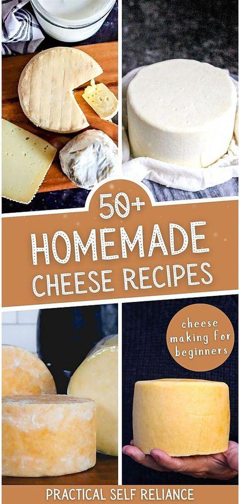 Discover the joy of homemade cheese with our collection of over 50 recipes, perfect for beginners in cheesemaking. From the basics of cheddar to the nuances of colby, these easy-to-follow recipes will guide you through the process, making the art of cheesemaking accessible and enjoyable. Find more easy whole food recipes, DIY homestead projects, and homestead survival at practicalselfreliance.com. Diy Parmesan Cheese, Sharp Cheese Recipes, Make Cheese From Milk, Make Your Own Mozzarella Cheese, Diy Cheese Press, Motzerrela Cheese, Soft Cheese Recipes, How To Make Mozzarella Cheese, Diy Mozzarella Cheese