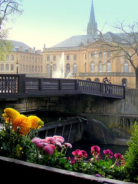 Explore mujepa's photos on Flickr. mujepa has uploaded 842 photos to Flickr. Wooden Footbridge, France Images, Culture Of France, Metz France, Lorraine France, Alsace Lorraine, Grand Est, Visit France, French Countryside