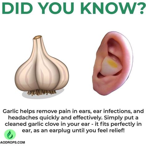 Garlic In Ear, Garlic Benefits, Garlic Uses, Tea Health Benefits, Ear Health, Healthy Herbs, Daily Health Tips, Affordable Skin Care, Natural Detox