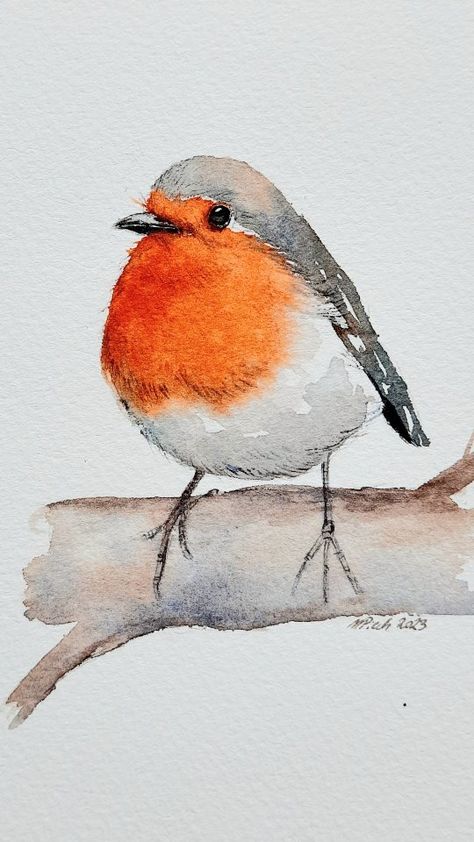 Robin ❤ | Instagram Simple Robin Drawing, Christmas Robins Watercolour, Colorful Birds Drawing, Paintings Of Robins, Cute Robin Illustration, Christmas Robin Drawing, Robin Illustration Bird, Watercolour Birds Simple, Christmas Robin Illustration