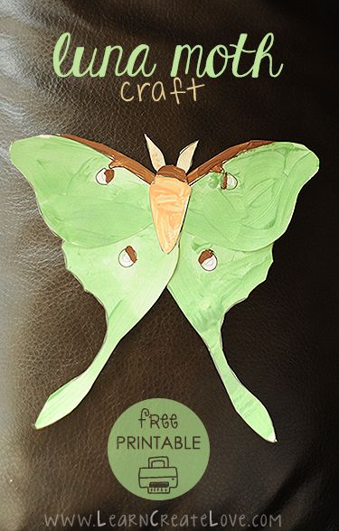 Luna Moth Printable Craft | LearnCreateLove.com Moth Craft Preschool, Moth Craft, Luna Moth Craft, Moth Crafts, Moth Craft For Kids, Paper Moth, Moth Template, Moth Paper Craft, Moth Printable