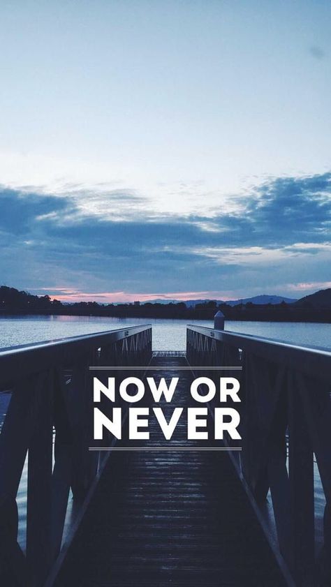 Now or Never Koci Humor, Frases Instagram, Inspirational Quotes Wallpapers, Motivational Quotes Wallpaper, Now Or Never, Motivational Wallpaper, Motiverende Quotes, Study Motivation Quotes, Tapeta Pro Iphone