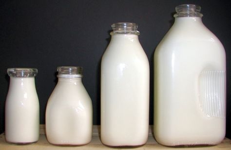 Homesteading Supplies, Vintage Milk Bottles, Homestead Life, Milk Jar, Milk Packaging, Glass Milk Bottles, Red Hill, Milk Bottles, Serving Drinks