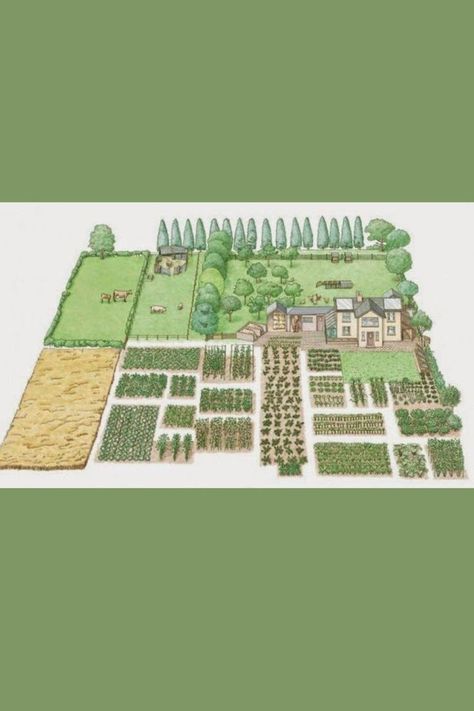 The way you are able to create your own backyard garden Become Self Sufficient, Self Sufficient Homestead Layout, Self Sufficient Home, Self Sufficient Backyard, Homestead Layout, Self Sufficient Homestead, Living Off The Grid, Self Sufficient, Off The Grid