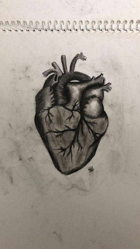 Shaded Heart Drawing, Sketch Shading, Shading Pencil, Fashion Drawing Sketches, Heart Sketch, Charcoal Sketch, Year Book, Heart Drawing, Chiaroscuro