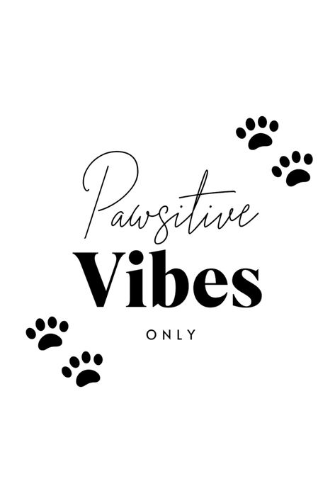 Christmas Print On Demand Ideas, Dog Related Quotes, Dogs Aesthetic Quotes, Aesthetic Dog Quotes, Pawsitive Vibes Only, Canvas Dashboard, Aesthetic Quotes About Dogs, Grooming Quotes, Dog Home Quotes