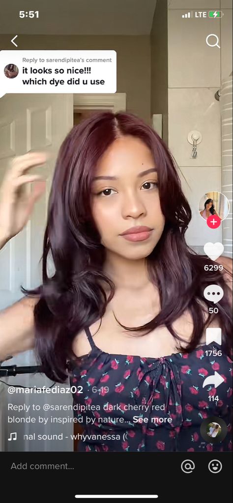 Dark Plum Red Brown Hair, Hair Colors For Darker Skin Tones, Burgundy Hair On Olive Skin, Dark Brown Burgundy Hair, Reddish Hair Color, Plum Brown Hair, Jasmine Core, Brownish Red Hair, Deep Auburn Hair