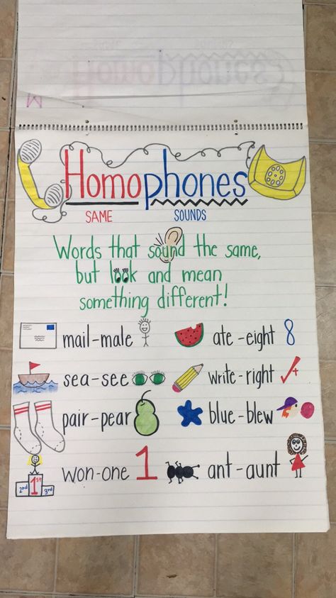 Vocabulary Anchor Chart Kindergarten, Homograph And Homophone Anchor Chart, Homophones Project Ideas, 3rd Grade Homophone Activities, Homophones Anchor Chart 3rd Grade, Homophone Anchor Chart 2nd Grade, Vocabulary Second Grade, Ending Punctuation Anchor Chart, Homophones Activities 3rd Grade