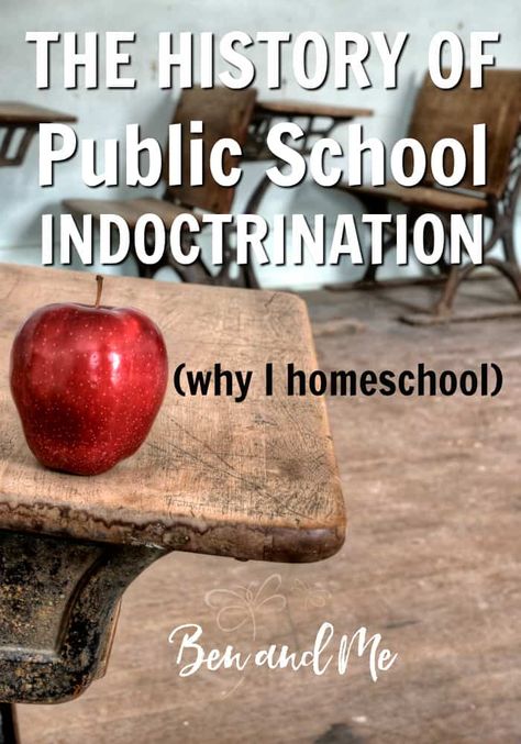 I have discovered just how insidious the school system really is and it makes me ever so glad we made the choice to homeschool rather than allowing public school indoctrination to filter into the minds of our children. #homeschooling #homeschool #whyhomeschool #publicschool #publicschoolindoctrination Homeschool Uniform, Start Homeschooling, Homeschool Tips, Homeschool Education, Homeschool Inspiration, How To Start Homeschooling, Homeschool Encouragement, Home Schooling, Homeschool Learning