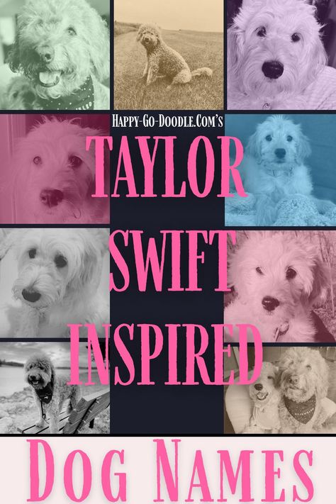 The title Taylor Swift Inspired Dog Names surrounded by a grid of cute puppies Names That Mean Love, Dogs Names List, Green Song, Popular Dog Names, Cute Puppy Names, Taylor Swift Cat, Girl Dog Names, List Of Names, Cute Names For Dogs