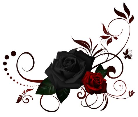 Black Background Graphic Design, Favorites Journal, Corner Border, Corner Borders, Rosé Png, Gothic Rose, Border Png, Green Screen Video Backgrounds, Delta Sigma Theta