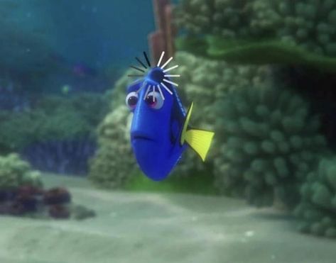 Finding Nemo Meme, Dory Memes, Dory Tattoo, Dory Fish, Dory Finding Nemo, Dory Nemo, Finding Dory, Blue Fish, Finding Nemo