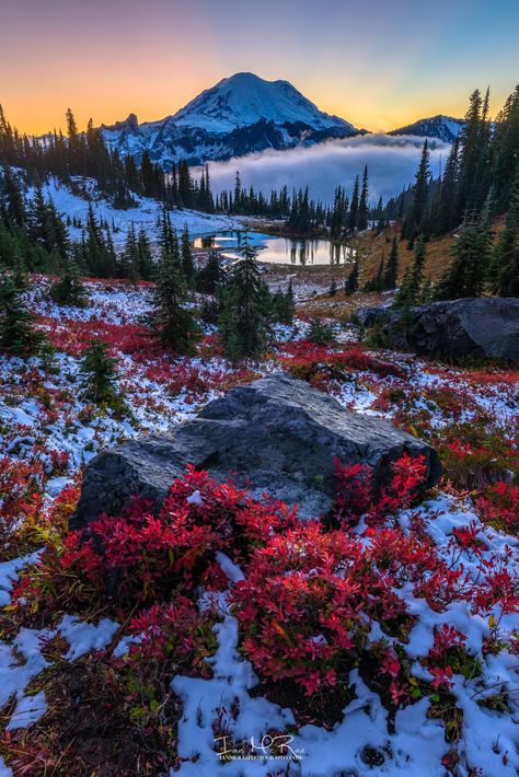 My Rainier, Washington Spring Scenery, Landscape Photography Nature, Pretty Landscapes, Beautiful Locations Nature, Beautiful Landscape Wallpaper, Beautiful Places Nature, Dream Vacation, Flowers Nature, Beautiful Places To Visit