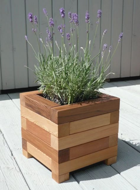 Diy Wooden Planters, Cedar Planter Box, نباتات منزلية, Cedar Planters, Wooden Planter Boxes, Wooden Planter, Plant Box, Wooden Planters, Wood Planters