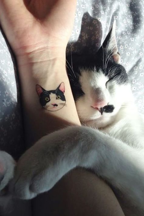 These Cat Tattoos Are The Perfect Way To Honor Your Four-Legged Friend Animal Tattoos, Tattoo Gato, Little Prince Tattoo, Kitty Tattoos, Tattoos For Women Small, Mini Tattoos, Tattoo Designs Men, Cat Tattoo, All Tattoos