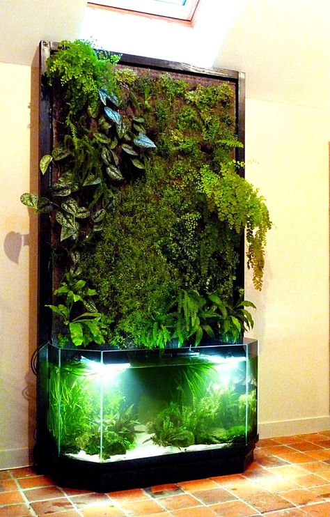 Aqua Ponics, Indoor Nature, Amazing Aquariums, Taman Air, Indoor Water Garden, Plants Growing, Aquascape Aquarium, Home Aquarium, Aquaponics System