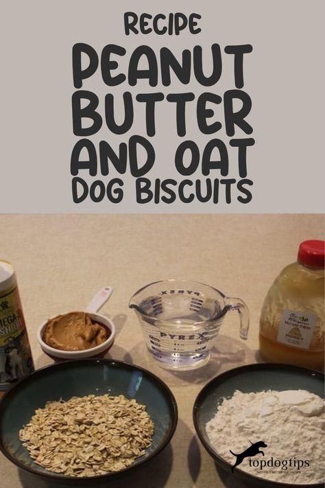 Recipe: Peanut Butter and Oat Dog Biscuits Dog Treats With Oats And Peanut Butter, Doggie Biscuits Recipes, Puppy Biscuits Homemade, Dog Biscuits Homemade Peanut Butter, How To Make Dog Biscuits, Homemade Dog Biscuits Recipe, Home Made Dog Biscuits Recipes, Peanut Butter And Oats Dog Treats, Baked Dog Biscuits