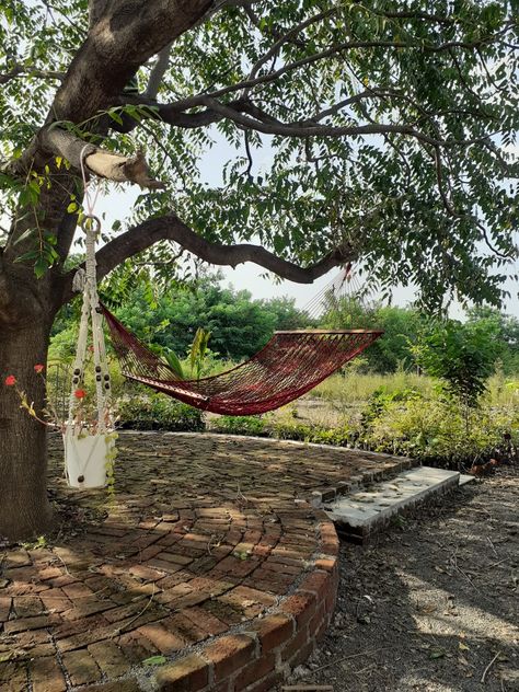 Hammock In Backyard, Hamicks Outdoor, Outside Hammock, Big Garden Design, Hammock Ideas Backyard, Hammock Pergola, Garden Design Cottage, Hammock Aesthetic, Garden Ideas Decoration