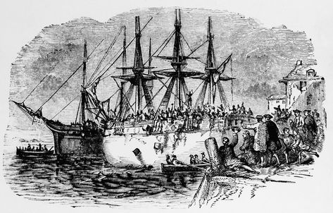 Almanacs are full of lists of global and national historic events. But “This Day in History” feature invites you to not just peruse a list, but to take a trip back in time to see how a significant event originally was reported in the Chicago Tribune. The Boston Tea Party, Color Pencil Drawings, Boston History, Boston Tea Party, Boston Tea, Iphone 2g, Country Musicians, Boston Harbor, Canadian History