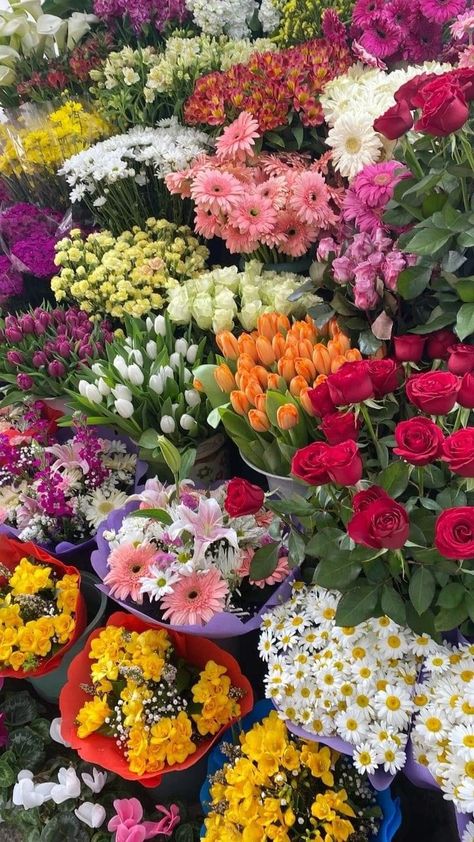 Fresh Flower Aesthetic, Florist Aesthetic, Boquette Flowers, Lovely Flowers Wallpaper, Nothing But Flowers, Wallpaper Nature Flowers, Flower Therapy, Beautiful Bouquet Of Flowers, Flower Farm