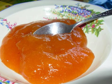 Danish-Apricot Filling Recipe - Food.com: Food.com Apricot Filling Recipe, Povitica Recipe, Apricot Filling, Danish Recipes, Apricot Cake, Apricot Recipes, Cake Filling Recipes, Filling Food, Danish Food