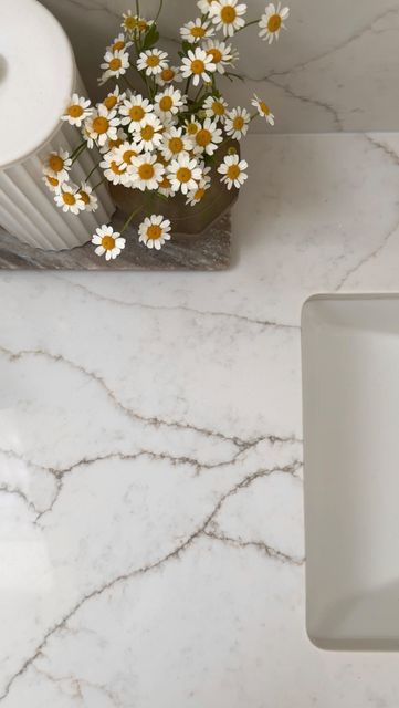 Bernice on Instagram: "the warm white with dark brown veining blends with the white oak so perfectly, it’s like a match made in heaven 🤩 

love how the veining is so realistic to marble, not too subtle and not too dramatic at the same time 😍

countertop details - MSI Calacatta Prado Quartz

🔗 for details on other materials and decor in this reel, comment SEND for links to be sent to your inbox🙌
____________________
#quartzcountertops #bathroomremodel #bathroomideas #kitchenremodel #whiteoakcabinets bathroom inspiration, remodeling renovation ideas inspo, kitchen counters" Quartz Countertops Veining, White Quartz With Brown Veining, Calacatta Prado Quartz Kitchen Countertops, Brown Veining Quartz, Msi Lumataj, Warm Marble Countertops, Calacatta Prado Quartz Countertop, Calacatta Prado Quartz, Calacatta Prado