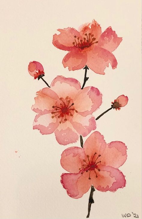 Cherry blossom Aquarelle | Cherry blossom watercolor, Cherry blossom painting, Watercolor flower art Japanese Flowers Drawing Cherry Blossoms, Japanese Art Painting Easy, Sakura Branch Painting, Watercolor Art Cherry Blossom, Cherry Watercolor Painting, Painted Cherry Blossoms, Cheery Blossoms Drawing, How To Draw Cherry Blossoms, Cherry Blossom Branch Drawing