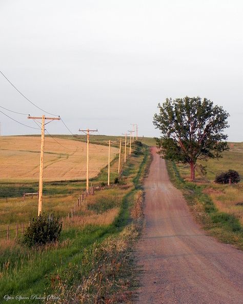 No better way to clear your mind then takin' an old back country road. ♥ Southern America Aesthetic, America Core, Devney Perry, Southern America, Third Space, Drømme Liv, Country Summer, Southern Life, Creedence Clearwater Revival