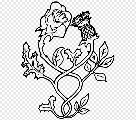 Thistle Drawing, Flower Tattoo Stencil, Rose Outline Tattoo, Rose Flower Tattoo, Thistle Scotland, Flower Tattoo Stencils, Rose Tattoo Stencil, Rose Outline, Rose Flower Tattoos