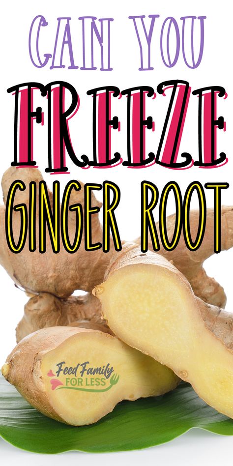 Things To Do With Ginger Root, What To Do With Fresh Ginger Root, What Is Ginger Root Good For, How To Use Fresh Ginger Root, Ways To Use Ginger Root, Can You Freeze Ginger Root, How To Preserve Ginger Root, Preserve Ginger Root, How To Grate Ginger Root