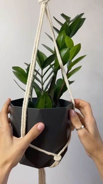 MACRAMESSAGE on Instagram: "DIY macrame PLANT HANGER in 30 seconds!🙋🏼‍♀️🪴(of 3️⃣‼️ropes) Самое лёгкое кашпо за 30 секунд всего из 3 верёвок!!!😄👏🏻🪴 . . . . . . . . . . . . . . . . . __________________________________________________ #macrameplanthangers#macrameplanthanger#macrametutorial#macrame#макраме#macramewallhanging#tutorial#macrameplanter#hangingpockets#handmade#macramemakers#macramehanging#modernmacrame#macramedecor#macramedecoration#diy#macrameplanthanger#diyhome#interiordecor#mac Diy Ribbon Flowers, Planting Pot, Diy Macrame Plant Hanger, Diy Macrame, Instagram Diy, Hanging Flowers, Container Flowers, Macrame Tutorial, Clay Flowers