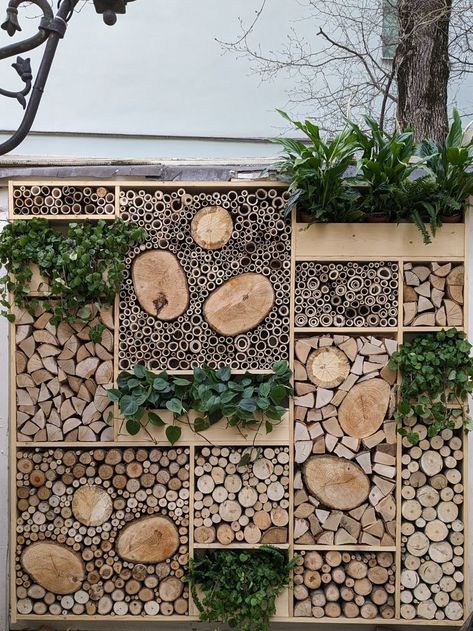 Wall Green, Bee Hotel, Play Garden, Bug Hotel, Insect Hotel, Wood Wall Art Diy, Front Yard Garden Design, School Garden, Mediterranean Garden