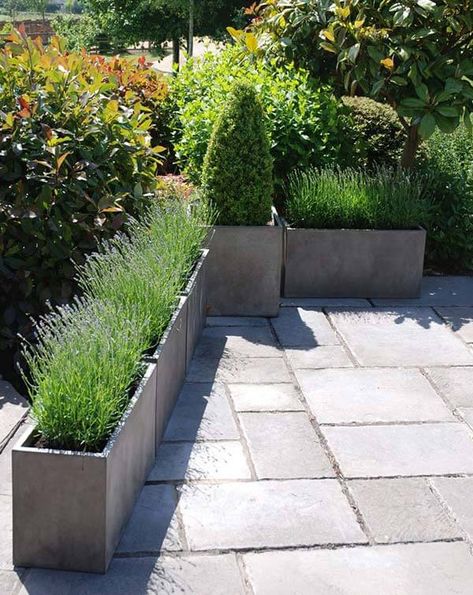 venice-trough-planters-lightweight-concrete-pots-25 Rectangle Pots Planters, Large Rectangle Planters Outdoor, Narrow Planter Ideas, Rectangle Planters Outdoor, Rectangular Planters Outdoor, Garden Trough Planters, Long Planters, Concrete Trough, Cube Planter