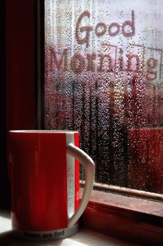 Good Morning Rain GIF - GoodMorning Rain Cup - Discover & Share GIFs Good Morning Rain, Rainy Good Morning, Beautiful Morning Pictures, Good Morning Rainy Day, Good Morning Gift, Rain And Coffee, Lovely Good Morning Images, Good Morning Coffee Gif, Morning Rain