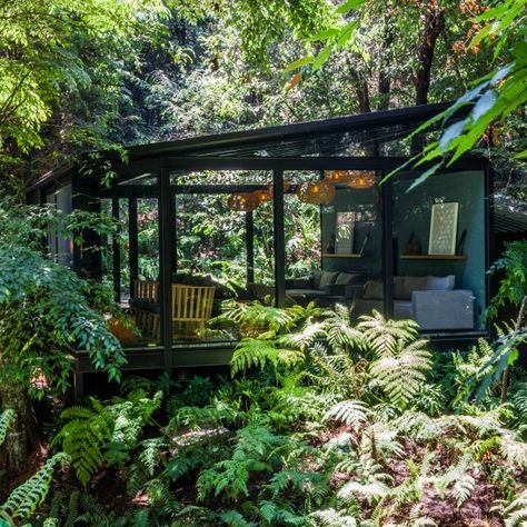 Jungle Cabin, Jungle Retreat, Jungle Home, Art Deco Style Interior, Jungle House, Forest Cabin, Cabin In The Woods, Forest House, Interior Design Art