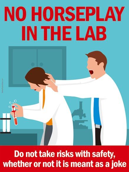 No Horseplay in The Lab | Safety Poster Shop Science Lab Safety Rules, Lab Safety Poster, Science Lab Safety, Lab Safety Rules, Safety Poster, Down Quotes, Chemical Safety, Lab Safety, Drawing Competition