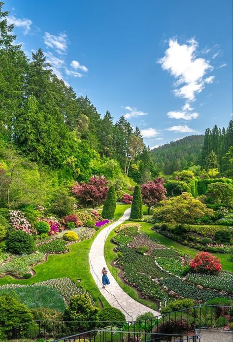 Butchart Gardens Vancouver Island, Beautiful Parks Garden, Big Gardens, Buchart Gardens, Giant Garden, Gardens Of The World, Landform, Diy Garden Fountains, Butchart Gardens