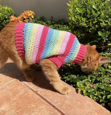 CROCHET PATTERN: Rainbow Cat Sweater - Etsy Australia Sweater Painting, Cat Sweater Knitting Pattern, Cat Sweater Pattern, Crochet Pour Halloween, Cat Christmas Sweater, Pattern Clothes, Yarn Patterns, Pet Sweaters, Pattern Rainbow