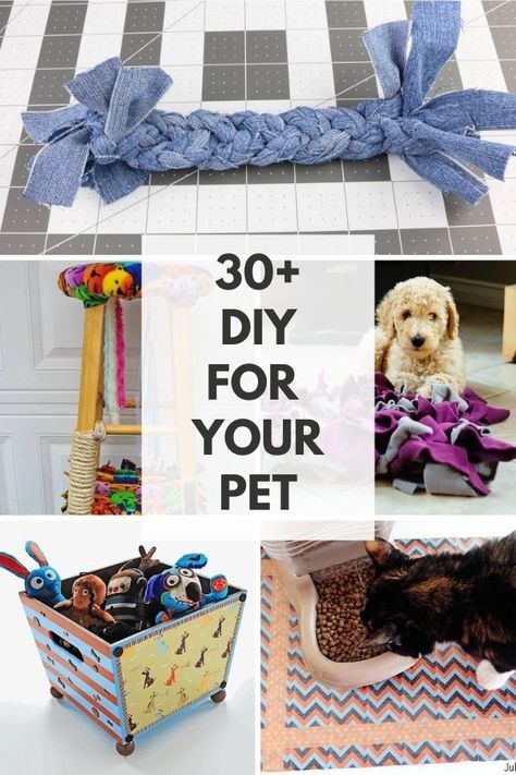 Looking for free projects to make for your dog or cat? These DIY crafts for dogs and the crafts for cats will keep your pet happy and healthy. Diy Pet Product, Diy Pet Accessories To Sell, Things To Make For Your Cat Diy Projects, Pet Crafts To Sell, Homemade Dog Accessories, Things To Make For Cats, Diy Pet Gifts, Dog And Cat, Dog Arts And Crafts